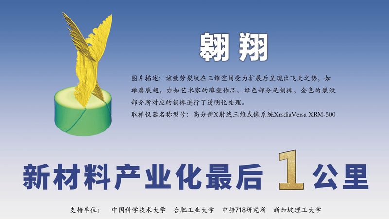 色母粒与色粉：揭秘两者差异及选购要点