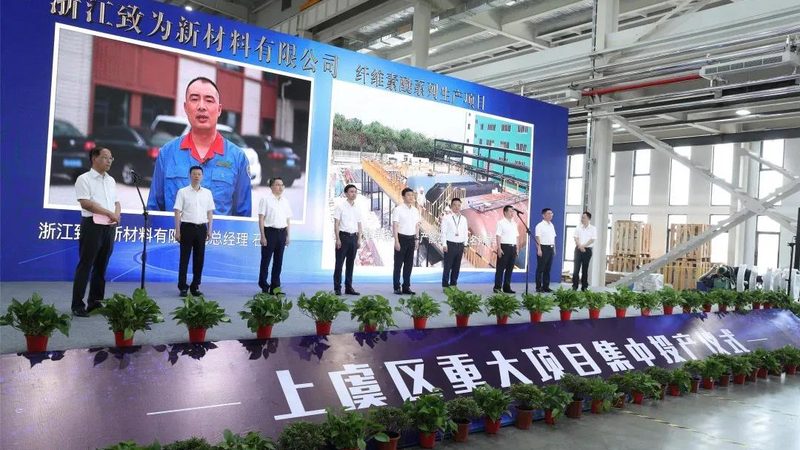无机化工原料规范培训资料的重要性与下载指南**